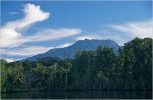 Mountains, trees, and lake