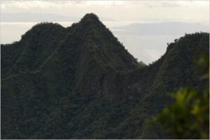 Mountains full of trees