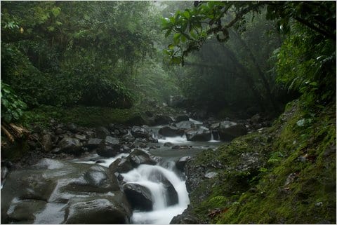 A river with rocks